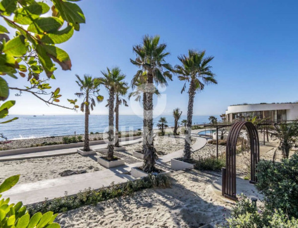 Bajo en venta en  Calle Costa Tropicana, Estepona photo 4