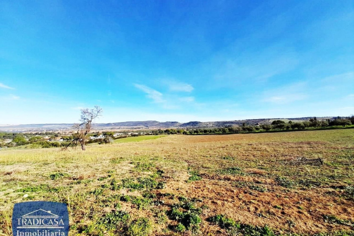 Land for sale in Arches of the Frontier, Cádiz photo 2