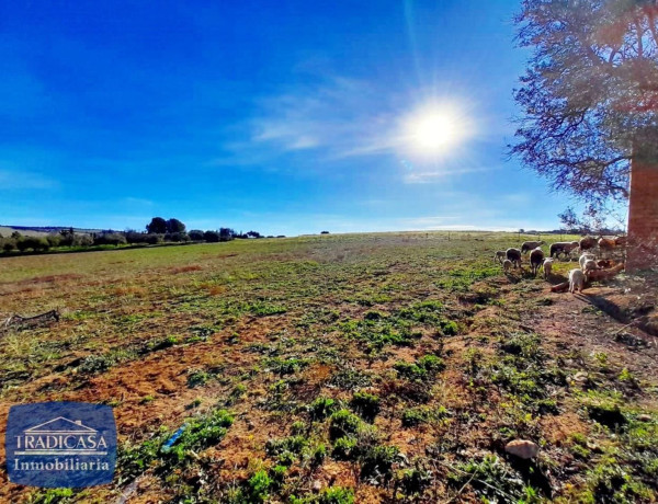 Terreno en venta en Arcos de la Frontera photo 3