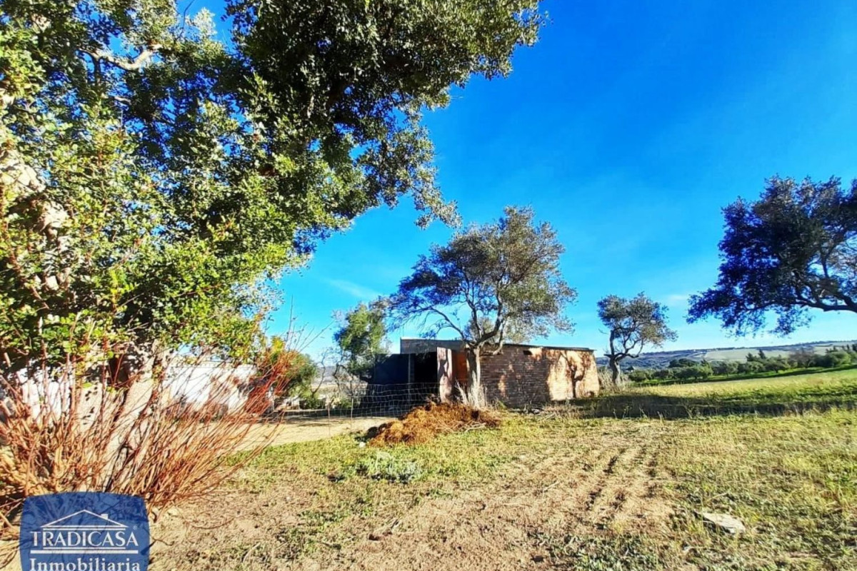 Land for sale in Arches of the Frontier, Cádiz photo 4