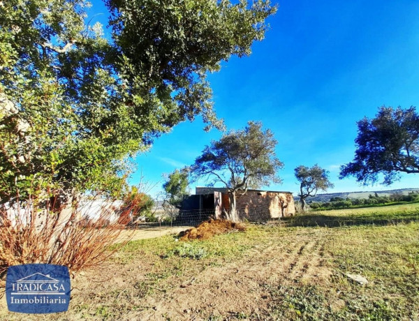 Terreno en venta en Arcos de la Frontera photo 4