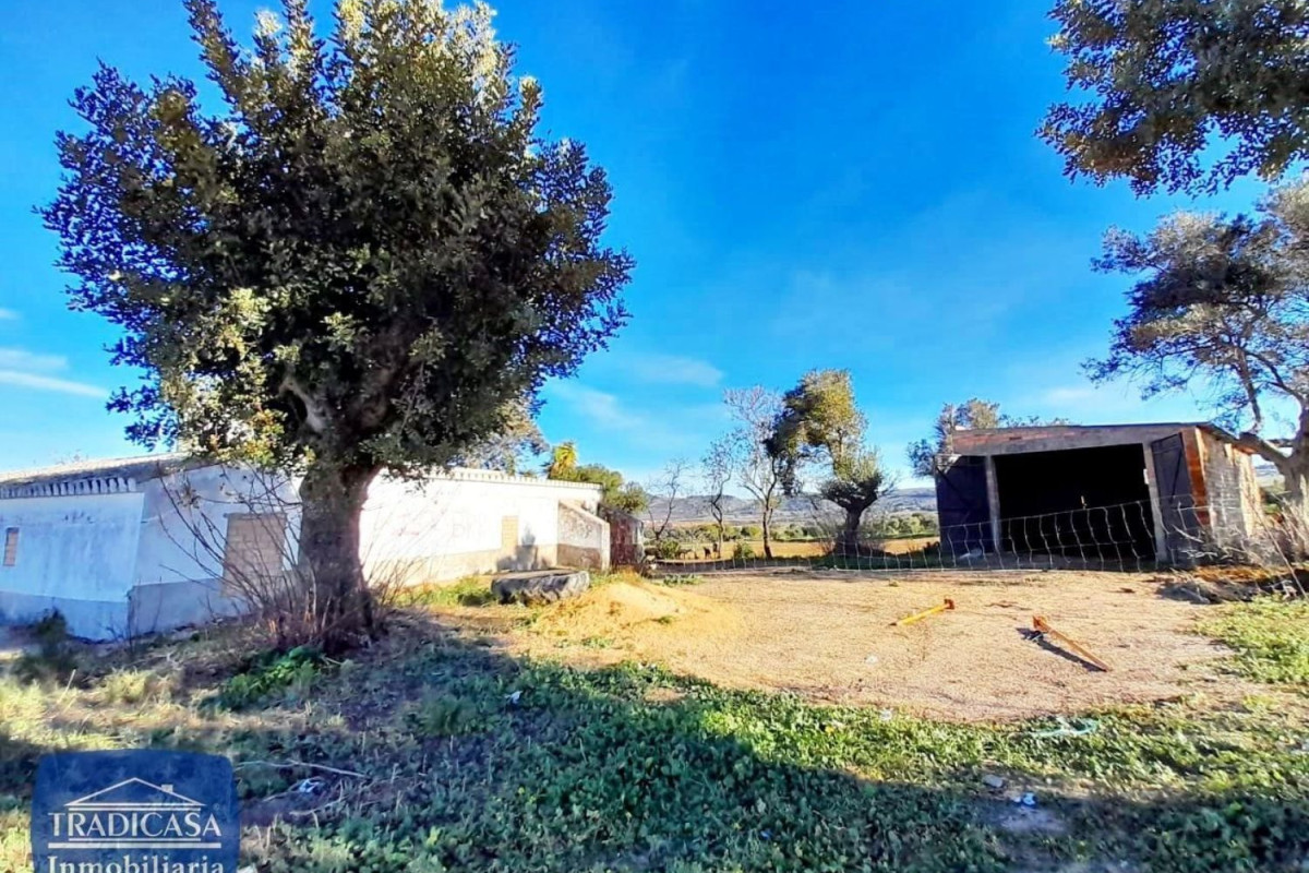 Land for sale in Arches of the Frontier, Cádiz photo 5