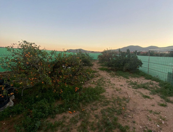 Terreno en venta en carretera Jerezal Caracol, 24 thumbnail 1