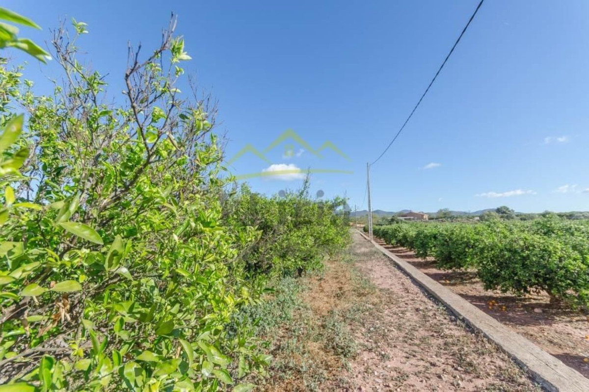 Terreno en venta en La Pobla de Vallbona, Valencia photo 2