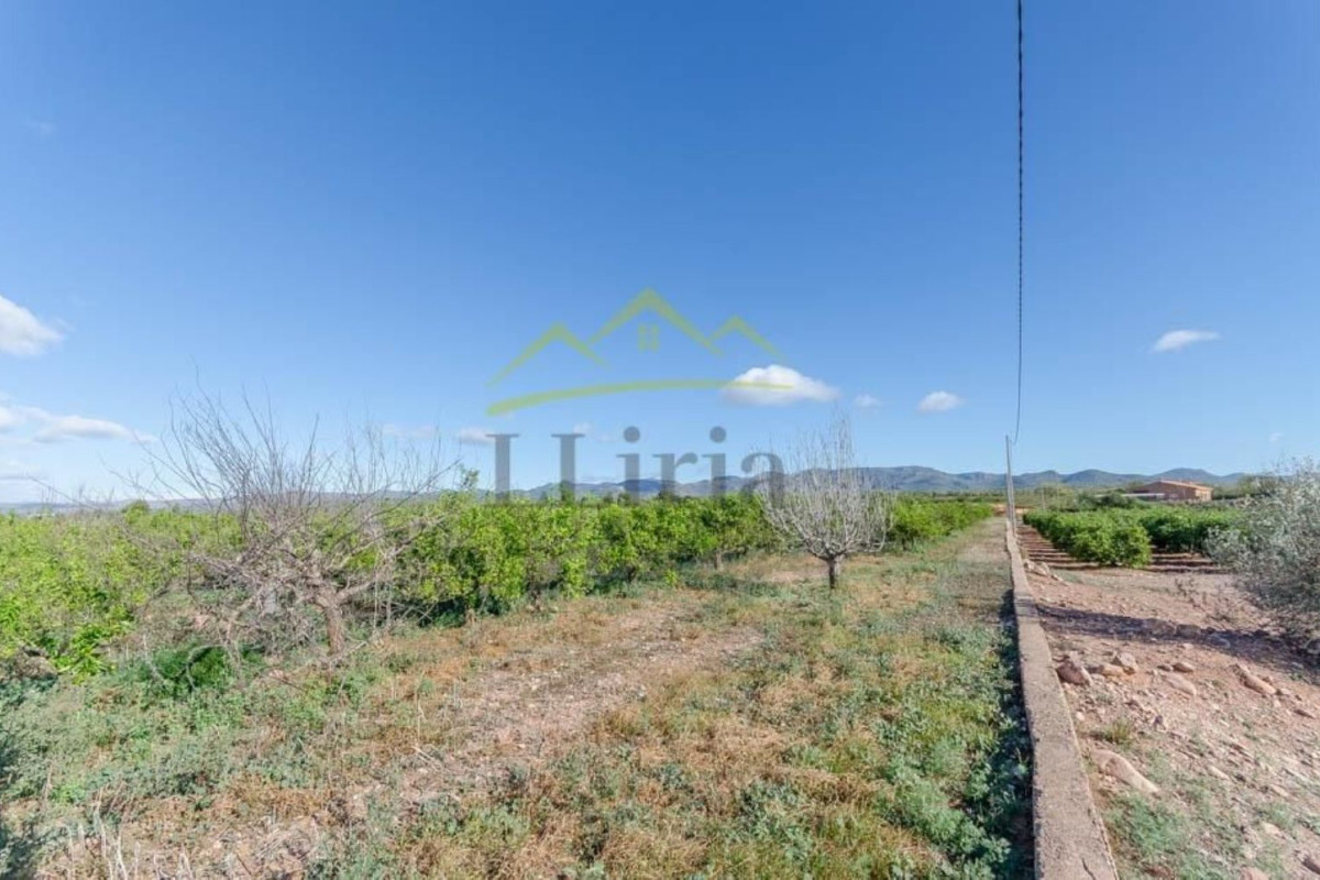 Terreno en venta en La Pobla de Vallbona, Valencia photo 3