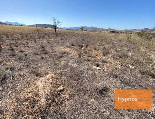 Terreno en venta en Jumilla photo 1