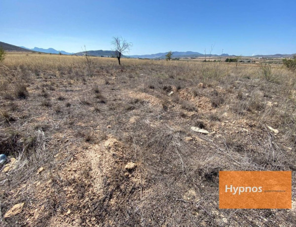 Terreno en venta en Jumilla photo 4