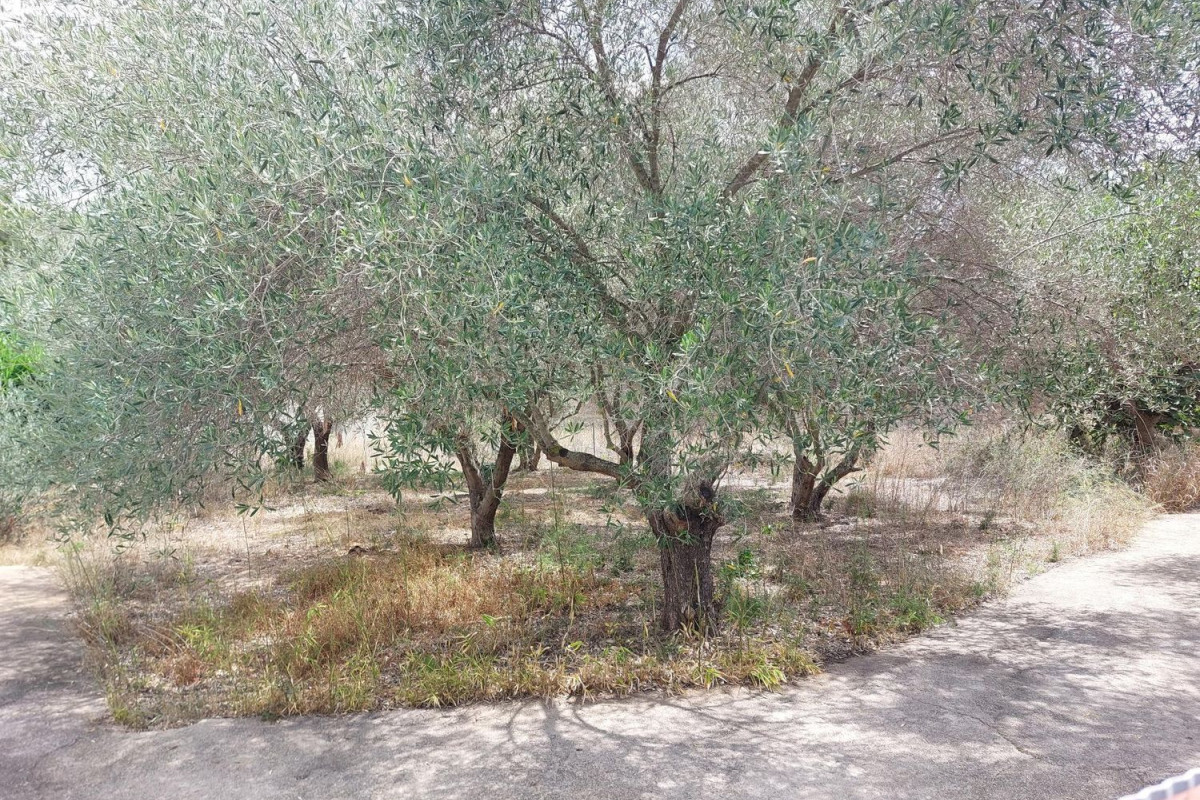 Działka na sprzedaż w Calafell, Tarragona photo 4