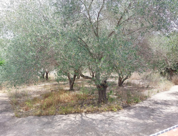 Terreno en venta en calle Joaquín Rodrigo, 5 photo 4