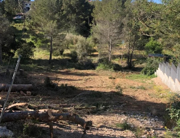 Terreno en venta en Mas Romeu photo 4