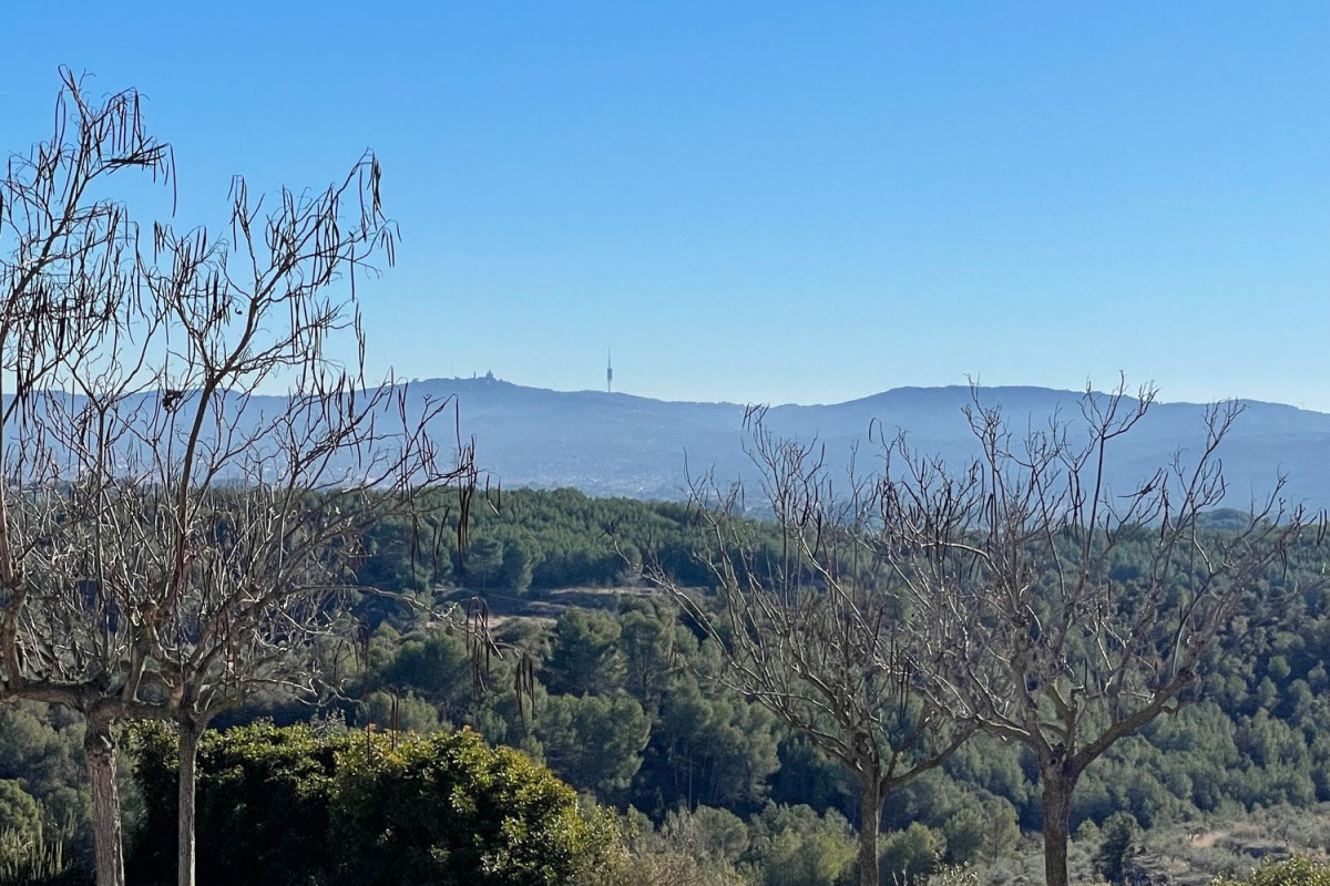 Terreno en venta en Ullastrell, Barcelona photo 5