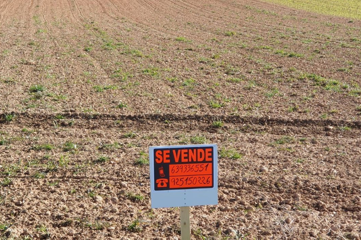 Land for sale in Villarrubia de Santiago, Toledo photo 5