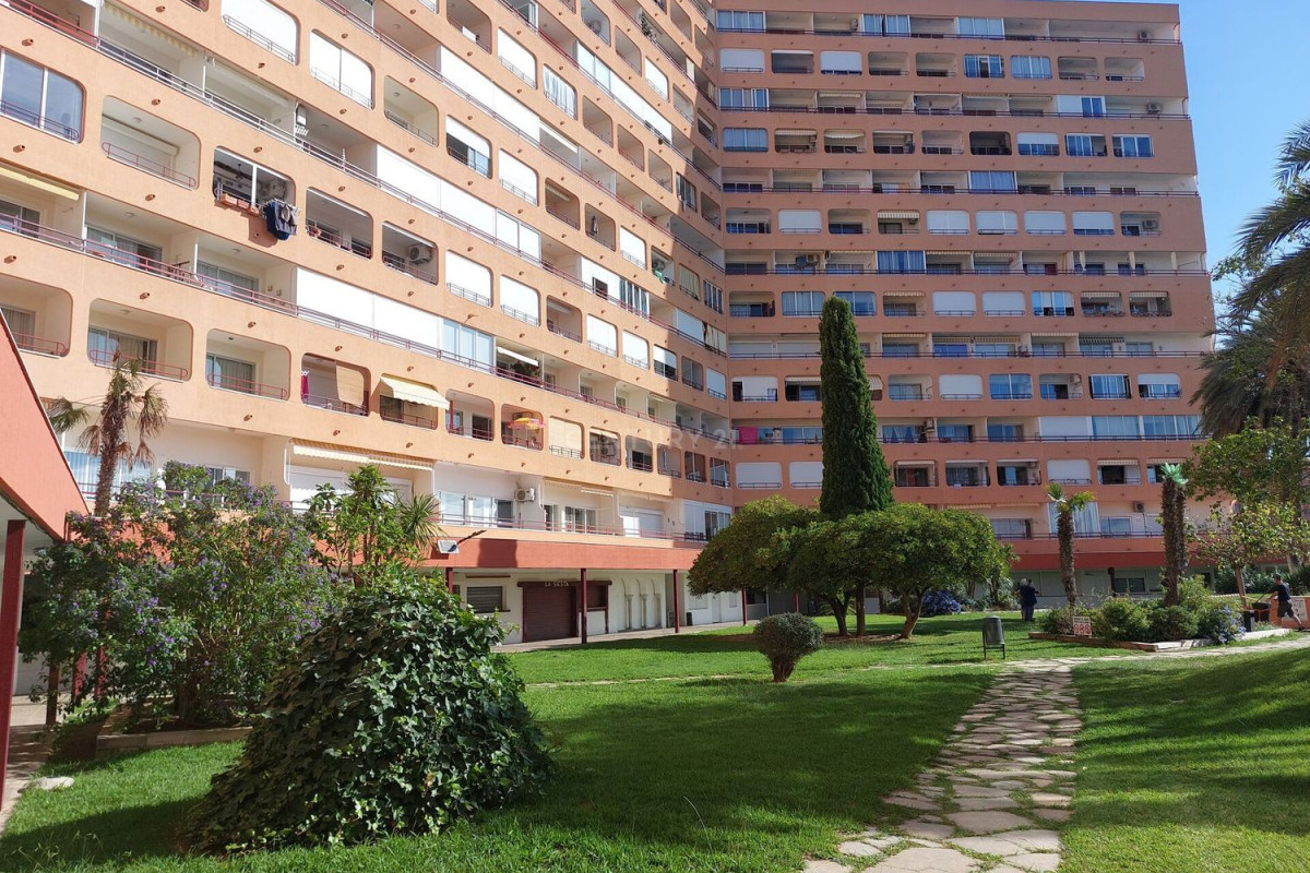 Venta de bajo en Centre, Roses
photo 5