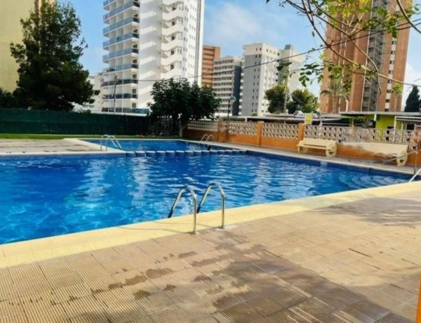 Studio for sale in , Benidorm photo 1