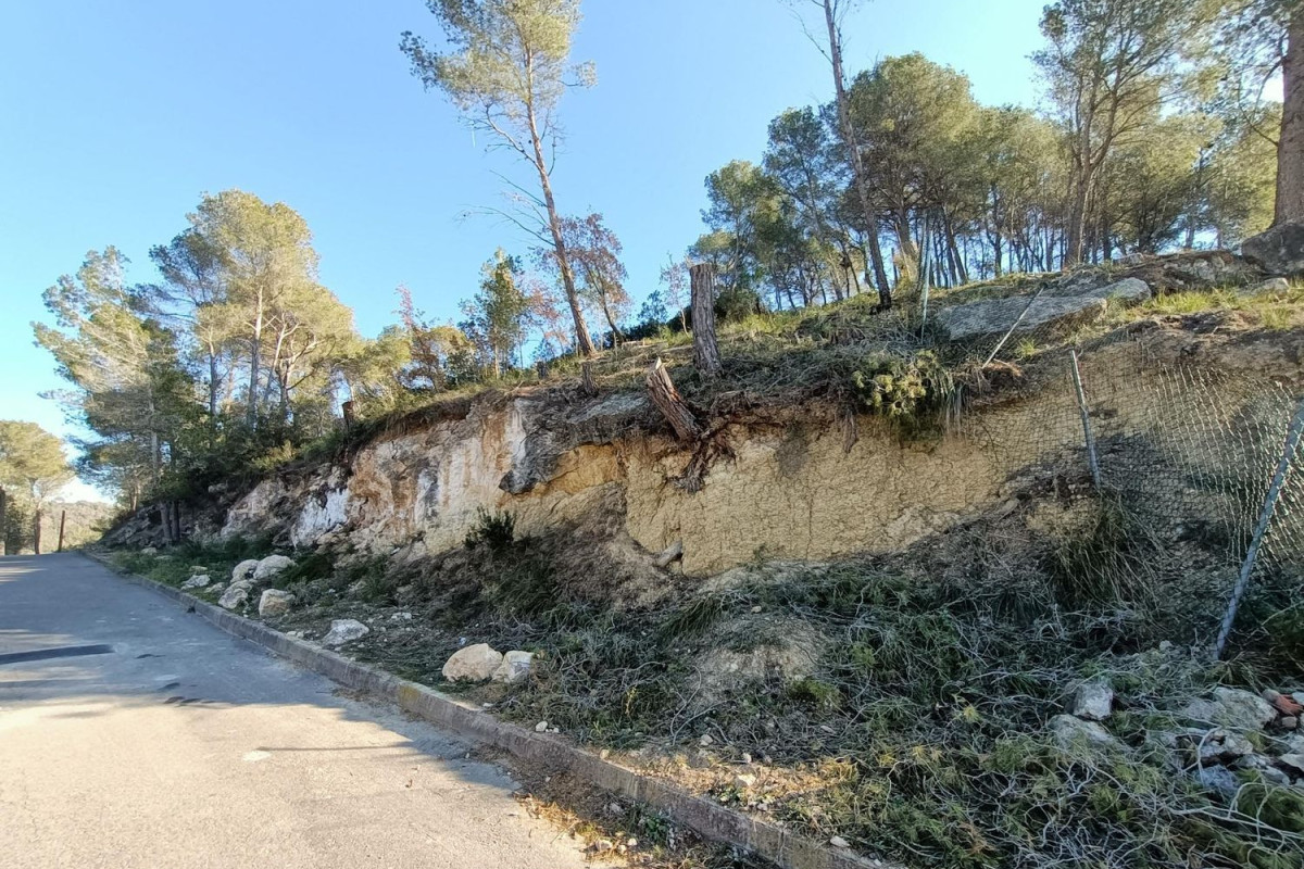 Działka na sprzedaż w Canyelles, Barcelona photo 3