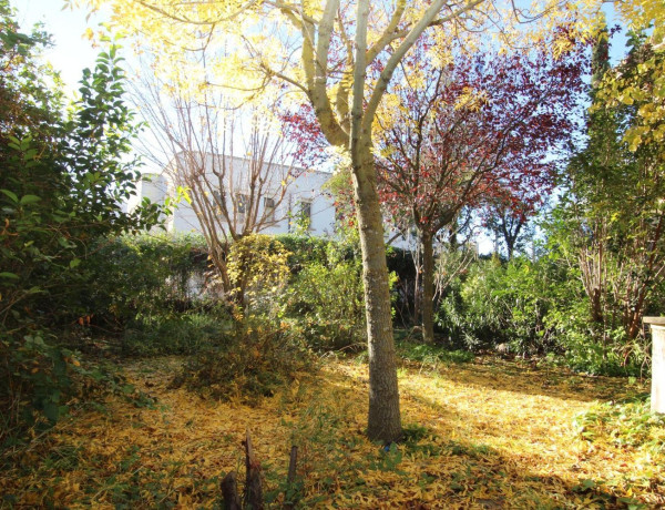 Rustic property for sale in , Sadaba photo 4