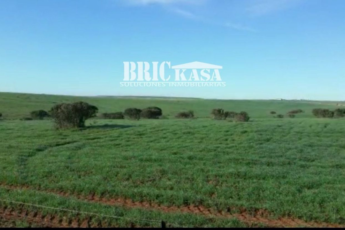 Terreno en venta en Villafranca de los Barros, Badajoz photo 3