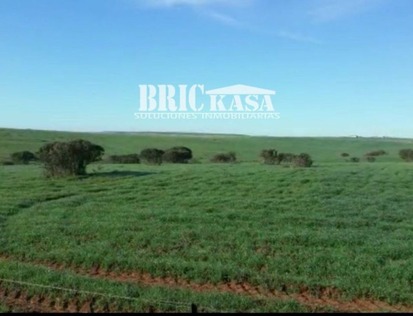 Terreno en venta en Villafranca de los Barros photo 3