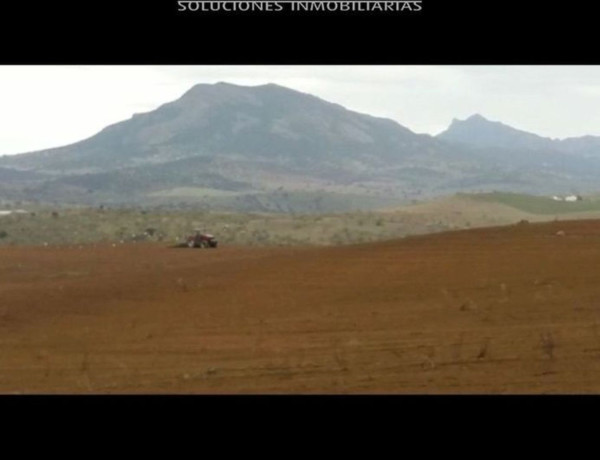 Terreno en venta en Villafranca de los Barros photo 4