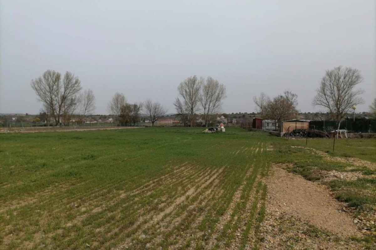 Terreno en venta en Ciudad-Rodrigo, Salamanca photo 2