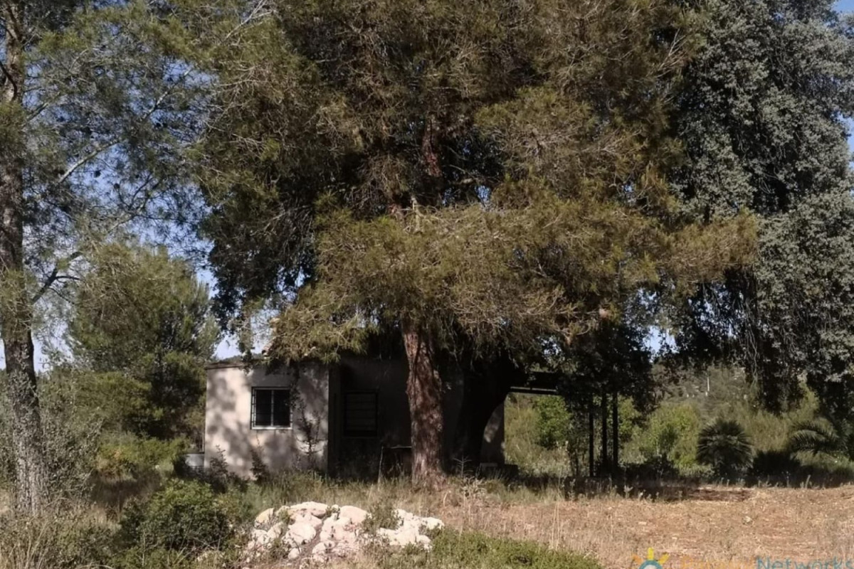 Properties for sale and rent in Spain photo 2