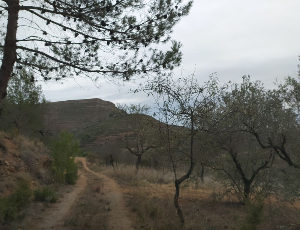 Casa rural en venta en Gátova photo 1