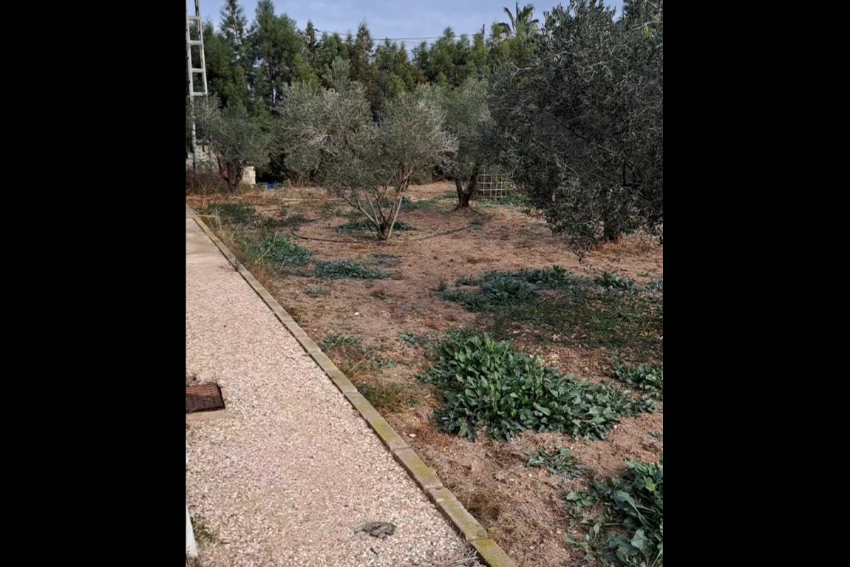Propiedades en venta y alquiler en España photo 4