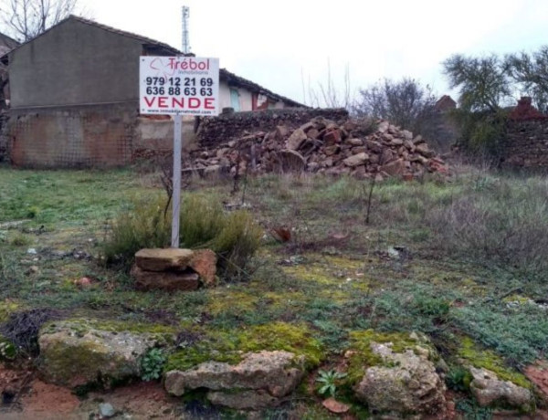 Terreno en venta en carretera de Herrera a Cervera, 50 photo 1