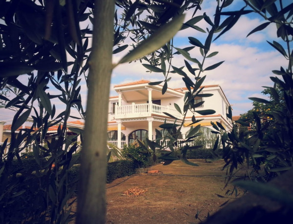 Продажа деревенского дома с участком земли в San Roque - La Cruz - La Rozuela , Linares thumbnail 2