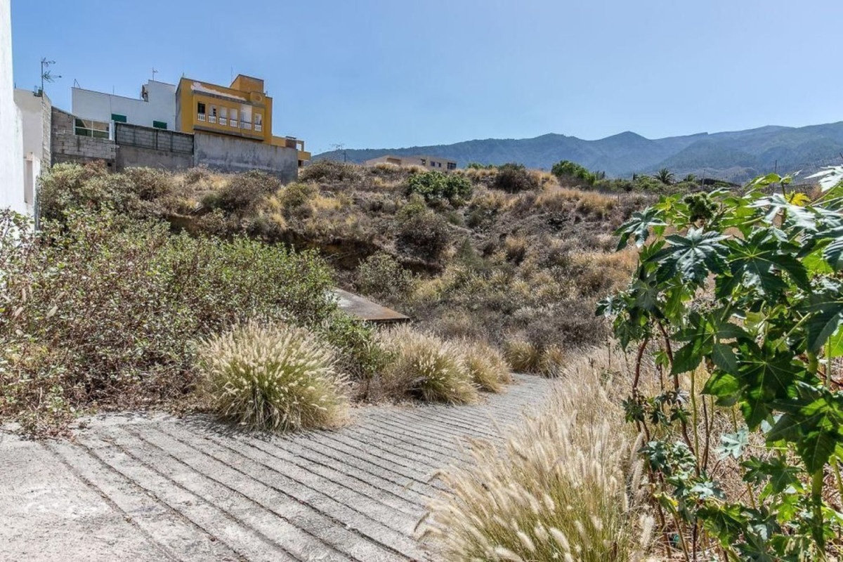 Terreno en venta en Güimar, Santa Cruz de Tenerife photo 3
