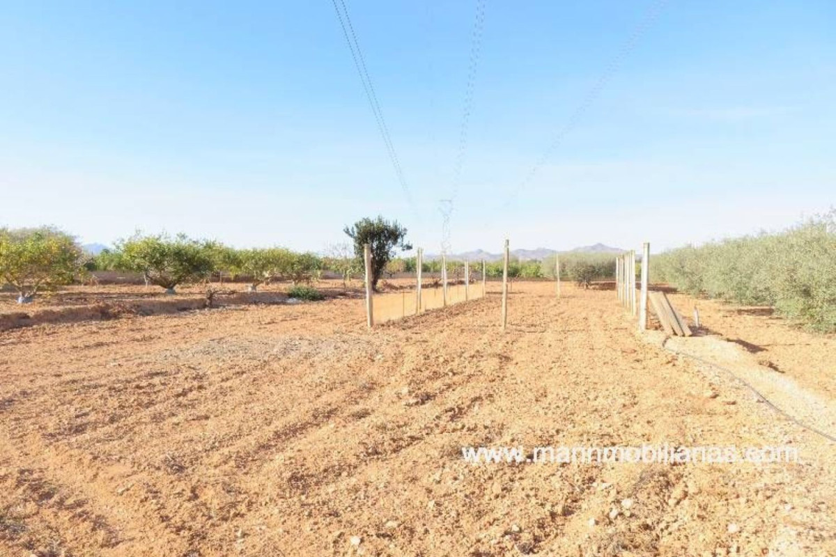 Terreno en venta en Cartagena, Murcia photo 4