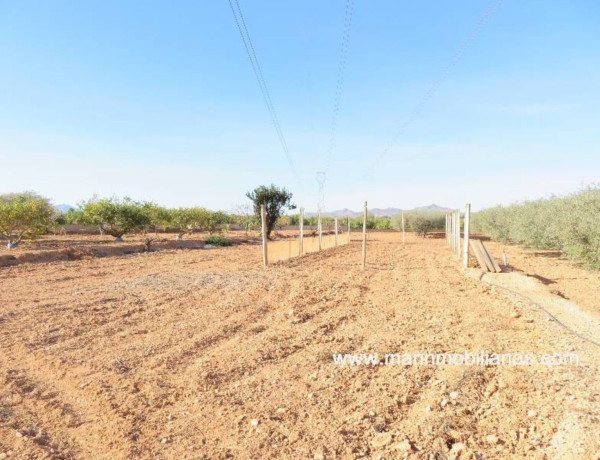 Terreno en venta en El Plan-Polígono de Santa Ana photo 4