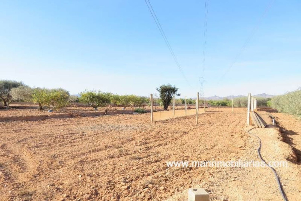 Terreno en venta en Cartagena, Murcia photo 5