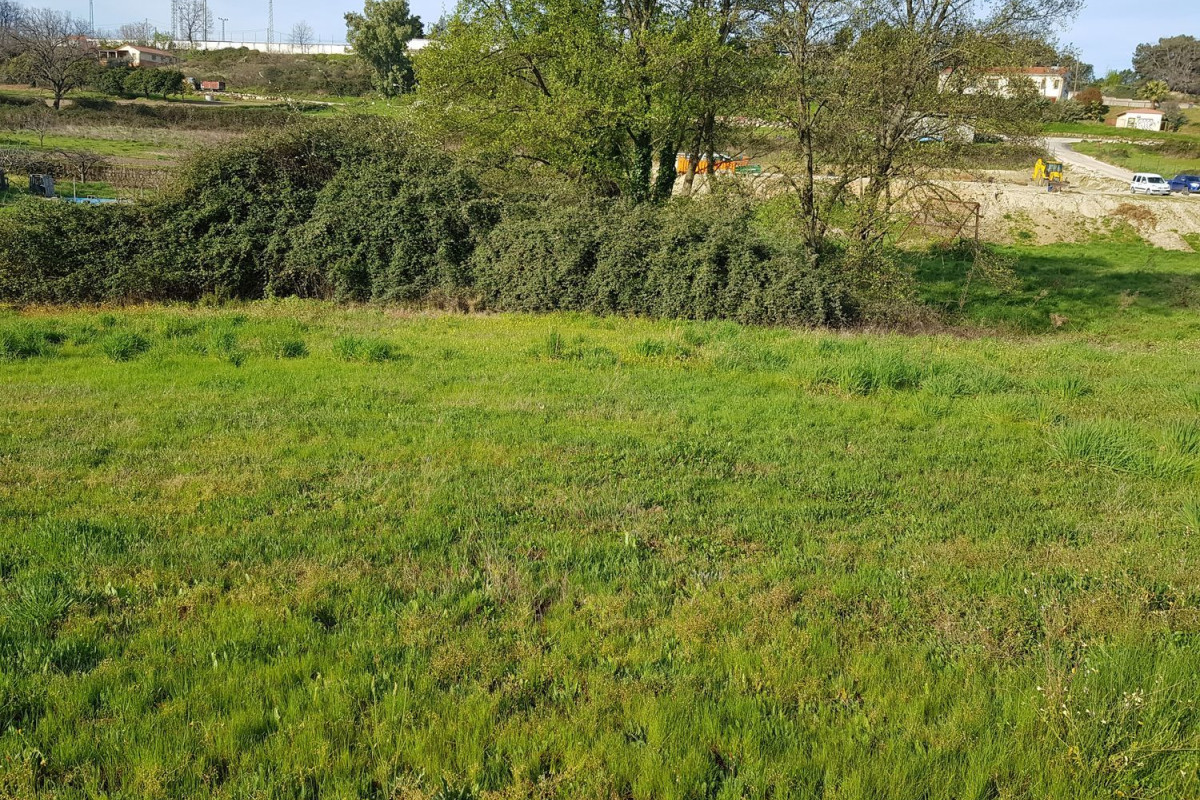 Terreno en venta en Madrigal de la Vera, Cáceres photo 3