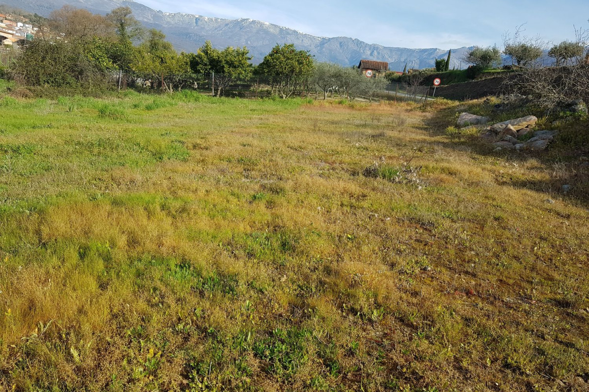 Terreno en venta en Madrigal de la Vera, Cáceres photo 4