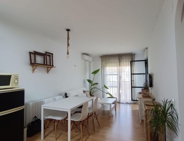 Продажа первого этажа в Pelagatos - Pago del Humo , Chiclana de la Frontera photo 1