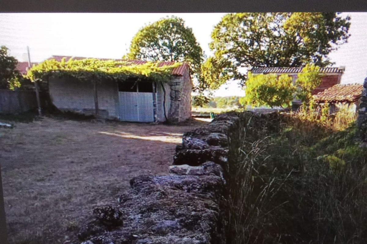 Venta de finca rústica en , Antas de Ulla photo 3