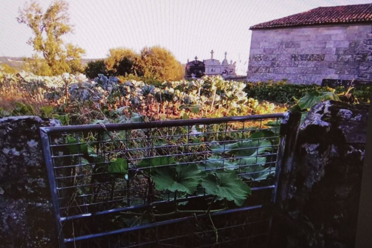 Venta de finca rústica en , Antas de Ulla photo 4