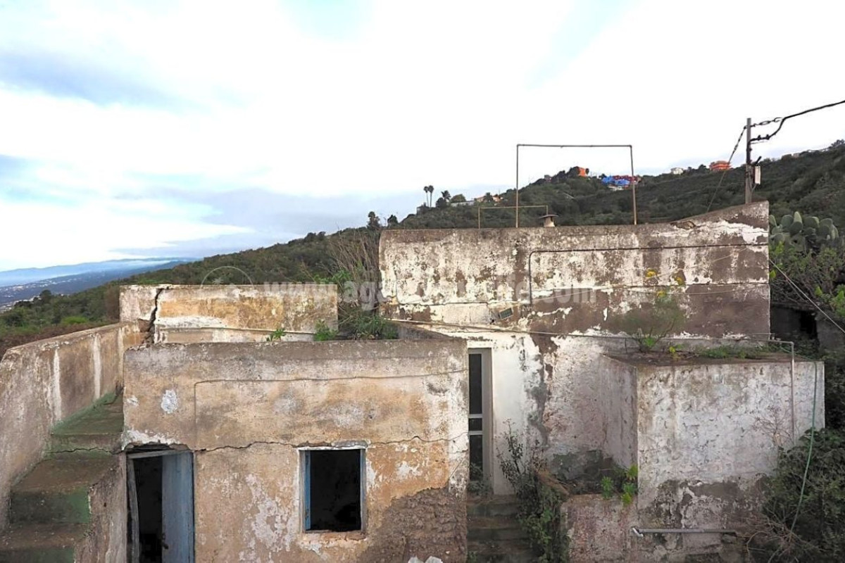 Sale of independent chalet in La Vega-El Amparo-Cueva del Viento, Icod de los Vinos
 photo 5