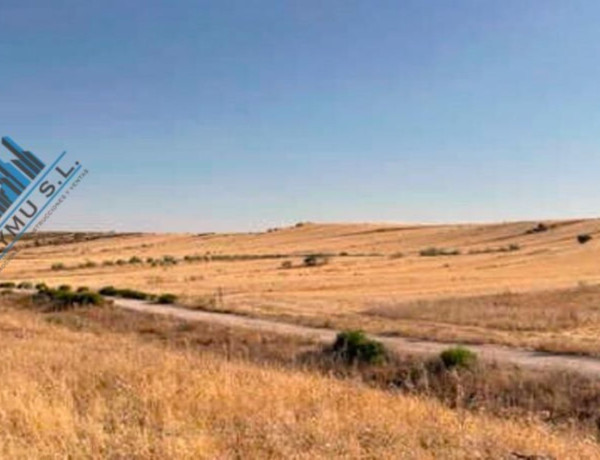 Terreno en venta en Berrocales de Jarama photo 4