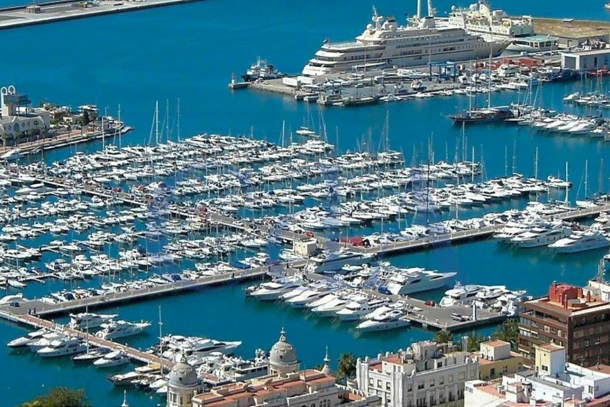 Terreno en venta en Sax, Alicante photo 4