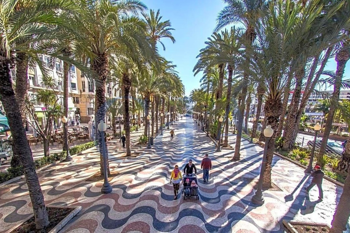 Terreno en venta en Sax, Alicante photo 5