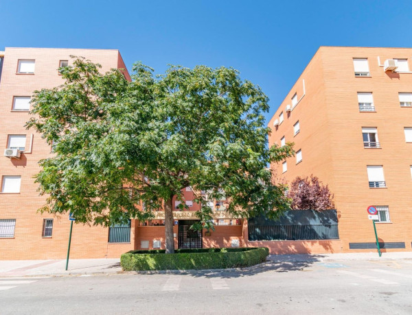Продажа квартиры в  Calle Matilde Cantos, 11, Granada photo 4