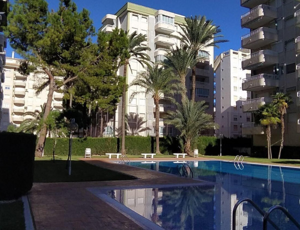 Piso en venta en  Playa de Gandia , Gandia photo 4