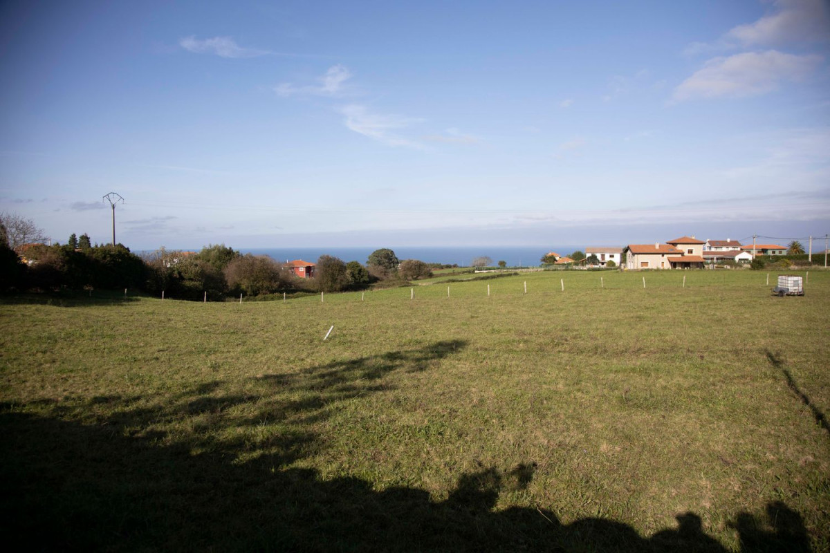 Terreno en venta en Cudillero, Asturias photo 3