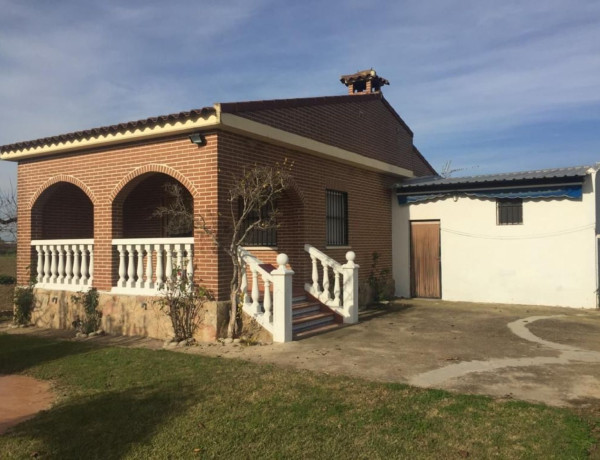 Finca rústica en venta en  Patrocinio - Nueva Talavera , Talavera de la Reina photo 1
