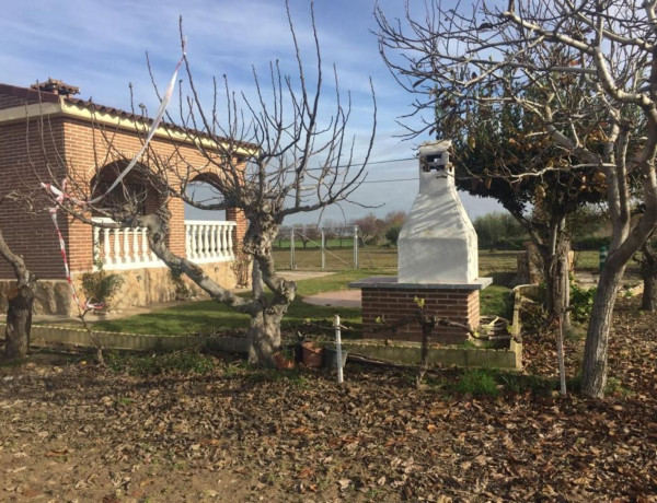 Finca rústica en venta en  Patrocinio - Nueva Talavera , Talavera de la Reina photo 3