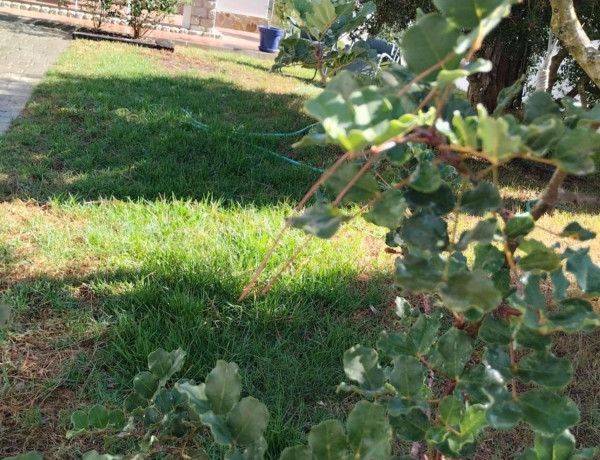 Коттедж на продажу в  Pinar de los Franceses - Marquesado , Chiclana de la Frontera photo 3