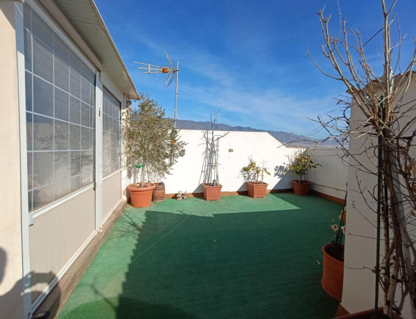 Продажа первого этажа в  El Ejido , El Ejido photo 1