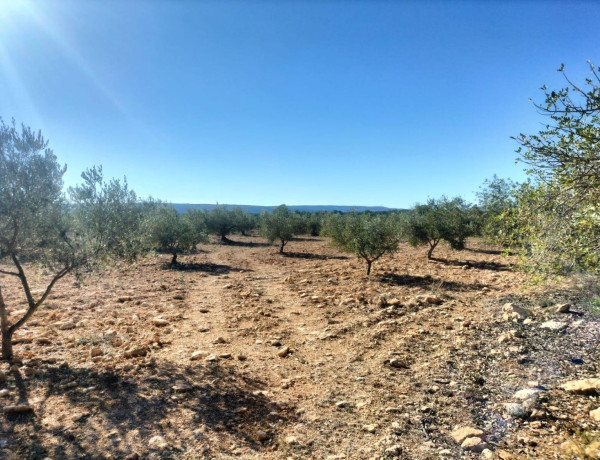 Terreno en venta en Navarrés photo 2